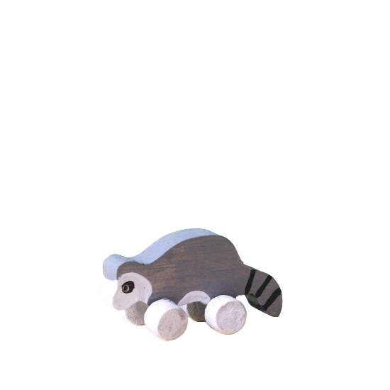 Raccoon