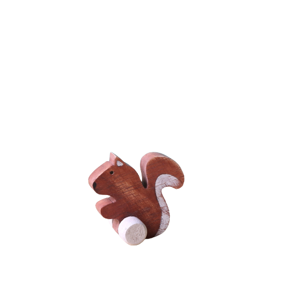 Squirrel