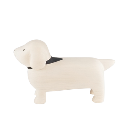 White dachshund