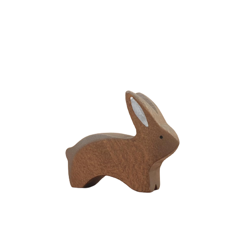 Brown rabbit