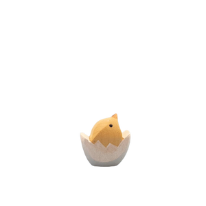 Chick in egg