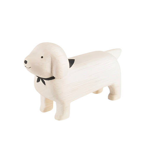 White dachshund