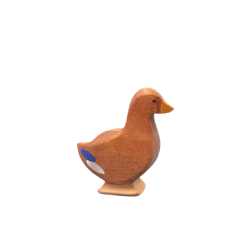 Duck