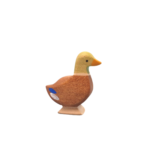 Duck