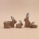 Brown bunny