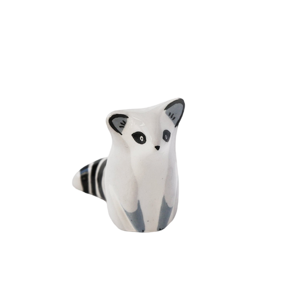 Raccoon