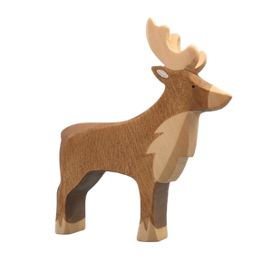 Reindeer