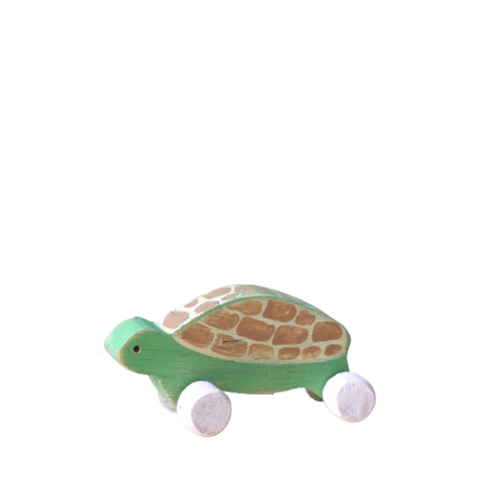 Turtle